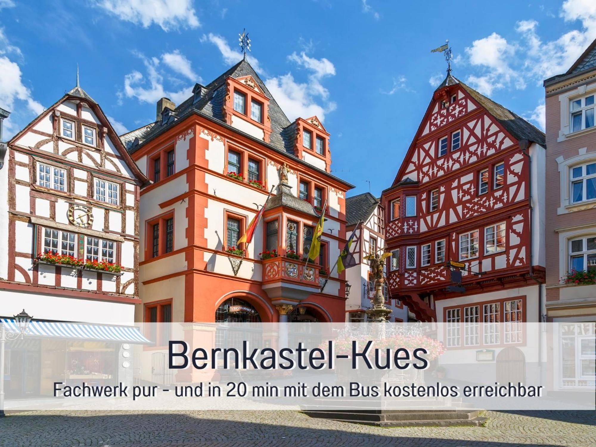 Ferienhaus Schwaab-Scherr, Genau Zwischen Bernkastel-Kues Und Traben-Trarbach, Mit Kostenlosem Oepnv-Ticket Fuer Bus Und Bahn, Parkplaetzen, Fahrradgarage Und Vielen Tipps Erden Exterior foto