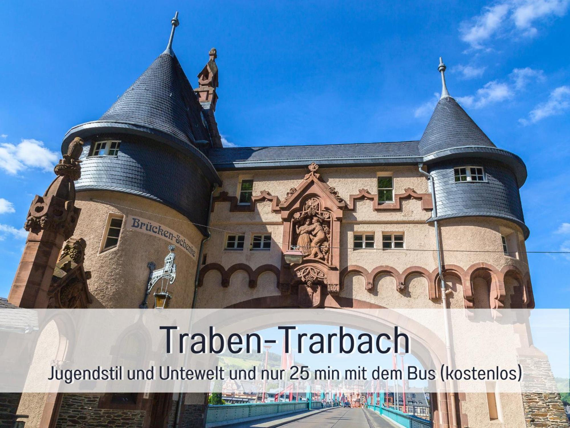 Ferienhaus Schwaab-Scherr, Genau Zwischen Bernkastel-Kues Und Traben-Trarbach, Mit Kostenlosem Oepnv-Ticket Fuer Bus Und Bahn, Parkplaetzen, Fahrradgarage Und Vielen Tipps Erden Exterior foto